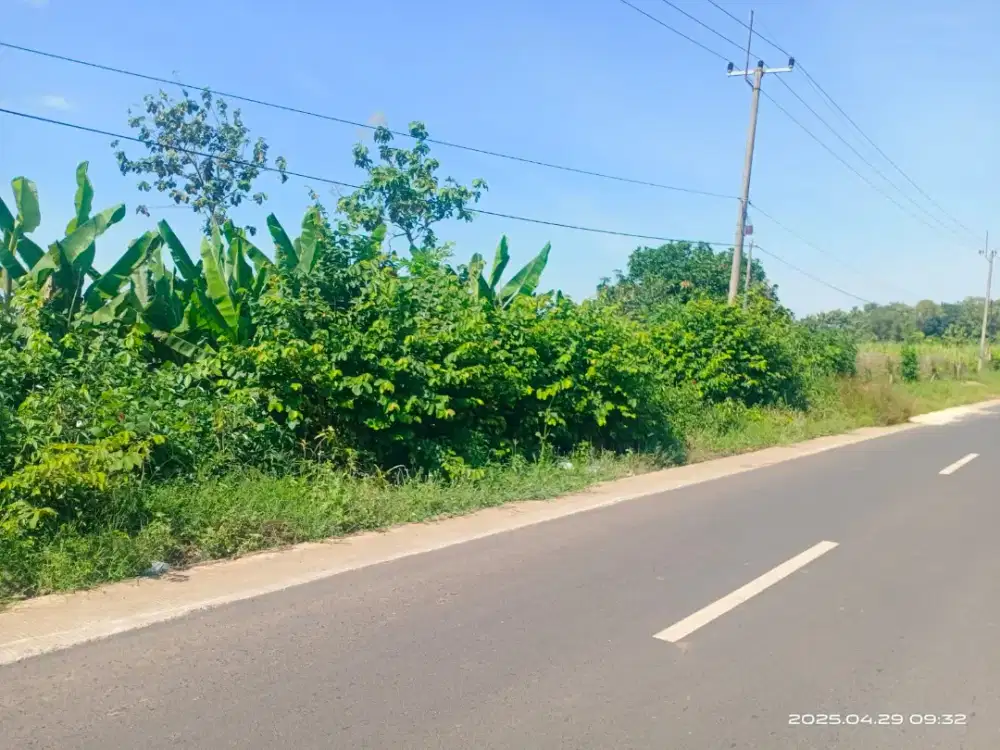 Dijual Tanah Cepat dan Murah