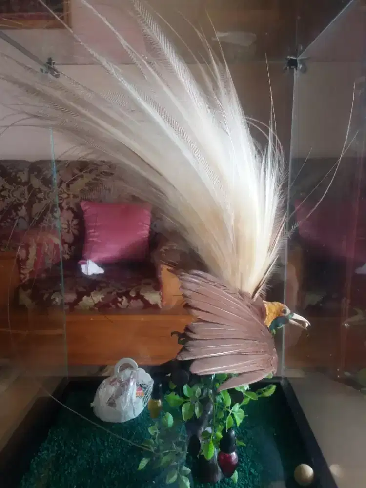 hiasan pajangan unik antik otentik