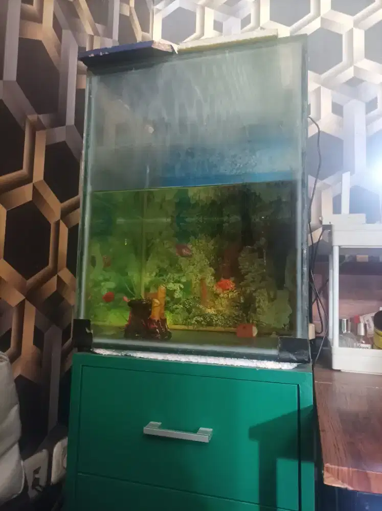 Aquarium 1 set  beserta pompa dan filter