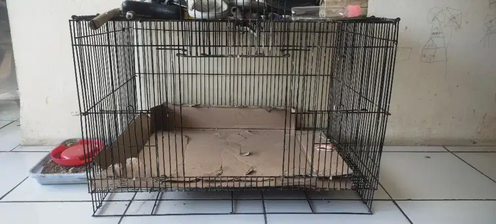 Kandang Kotak Burung
