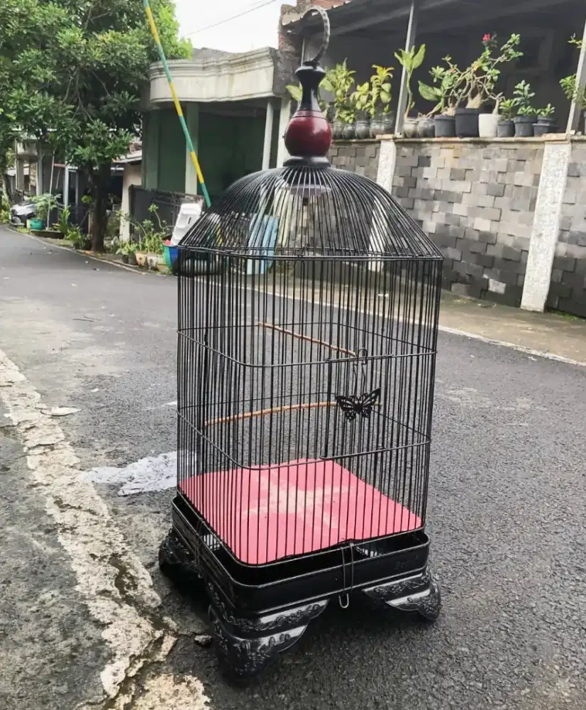 KANDANG BESI KOTAK OVAL BOOM