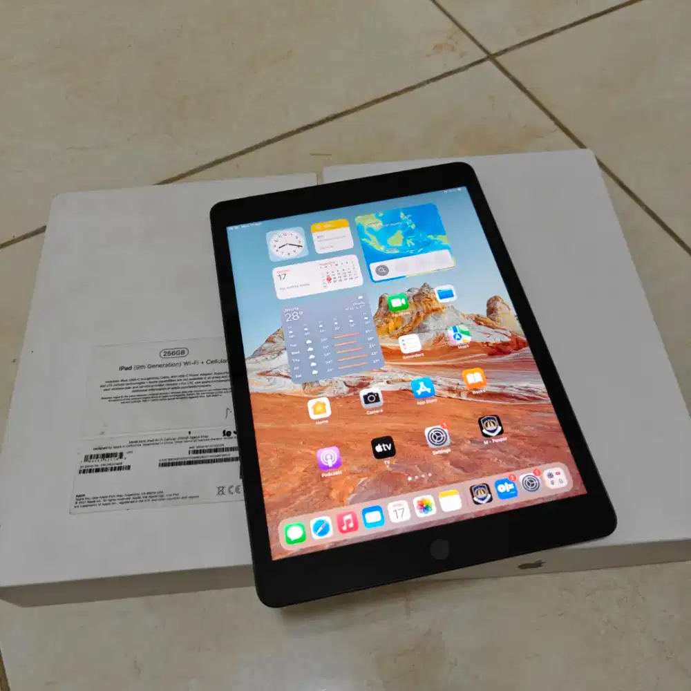 iPad 9 256gb Cellular