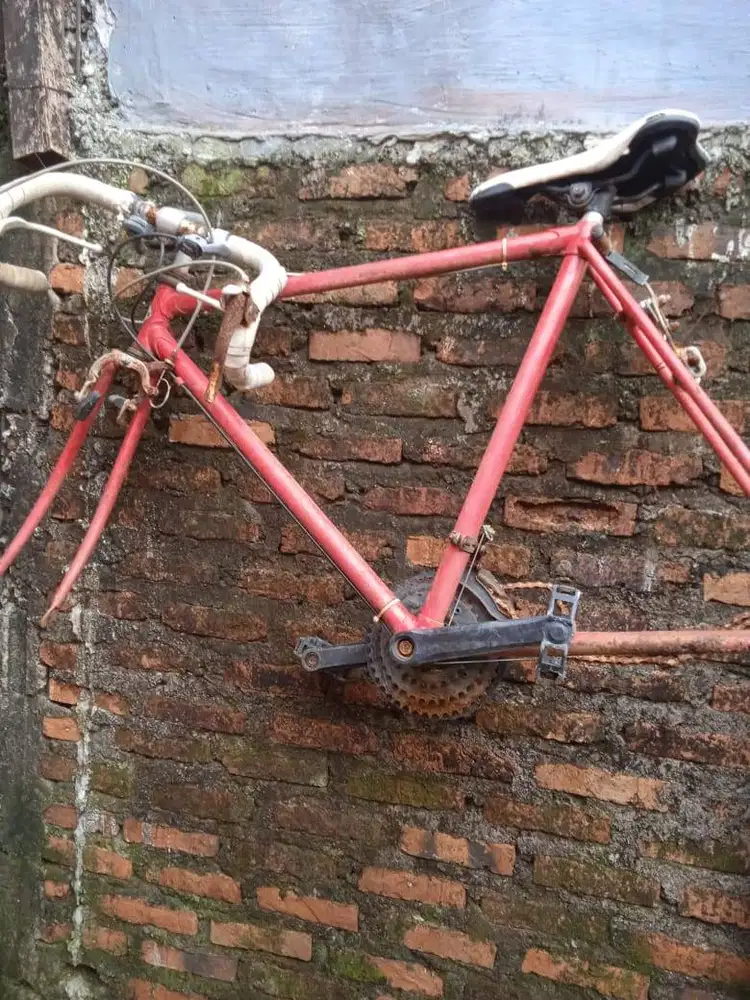 Sepeda Fixie dan Knalpot apa adanya