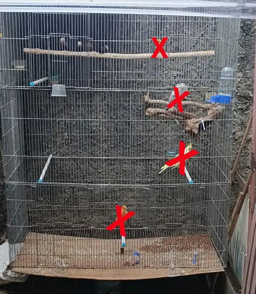 Kandang koloni galvanis P120*L50*T150