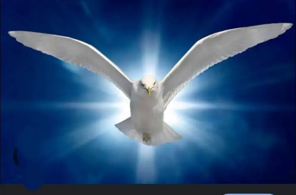 Mencari pekerjaan harian dan tetap