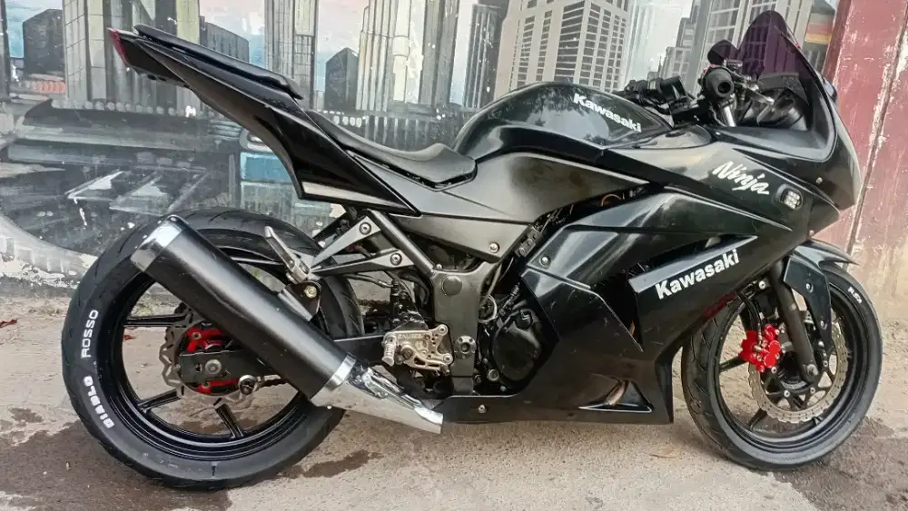 NINJA 250 2 cylinder