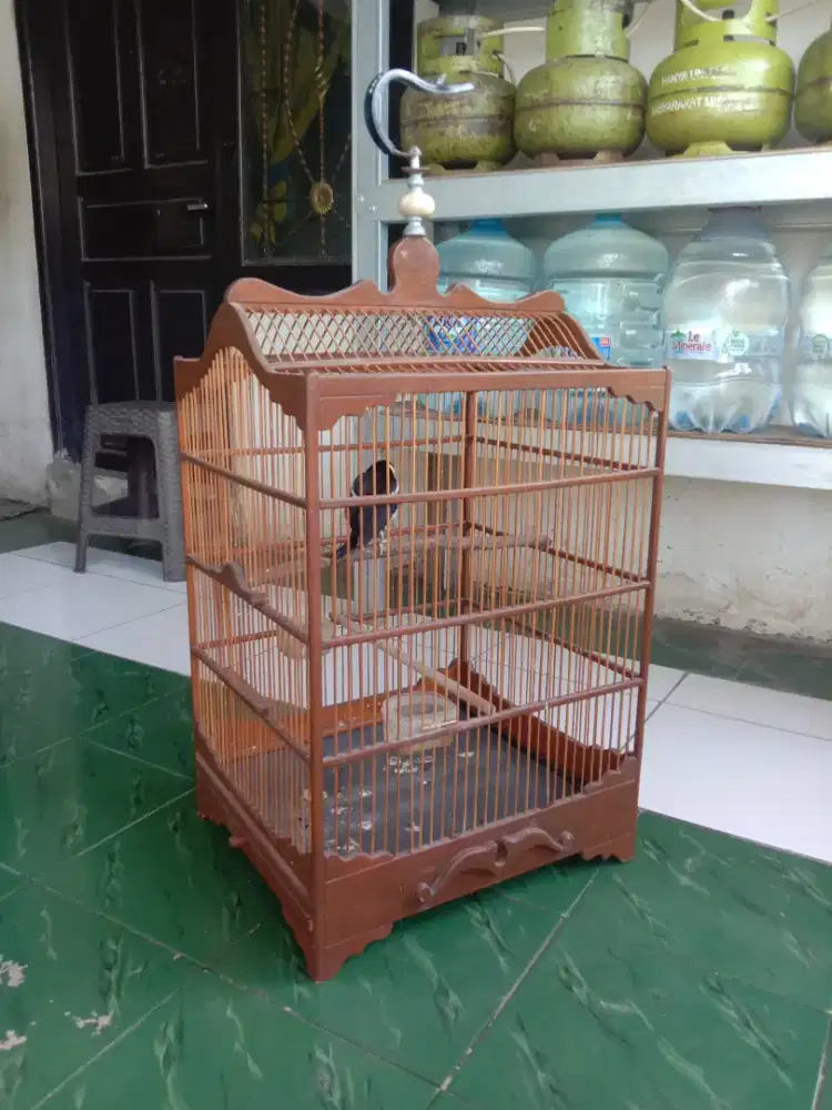 Kandang kotak no 1 kayu klasik berat 250 k pondok aren