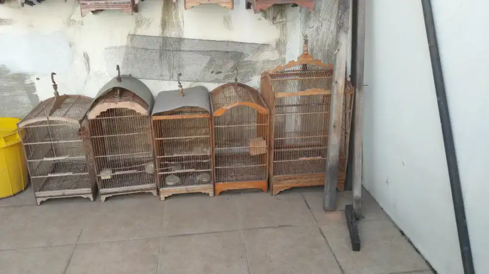 sangkar burung masih layak pakai