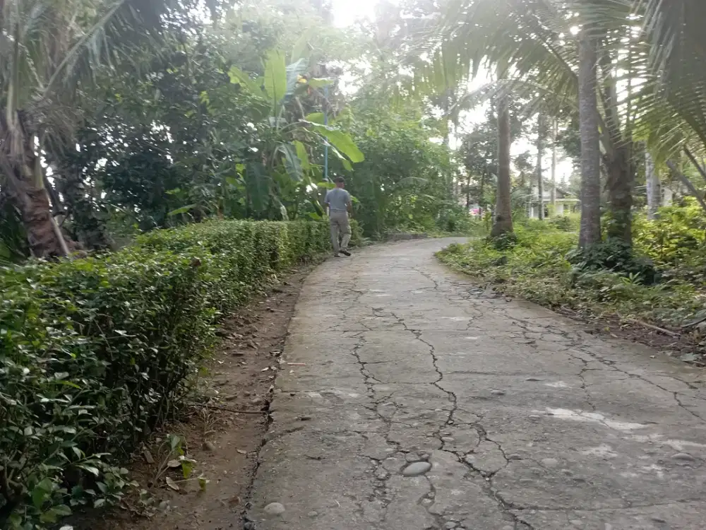 Jual Cepat Tanah Murah Bonus Rumah dekat Bandara YIA