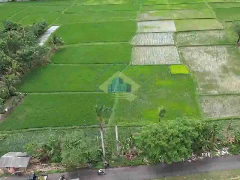 JUAL TANAH MURAH SHM ZONA INDUSTRI DEKAT TOL BALARAJA TANGERANG