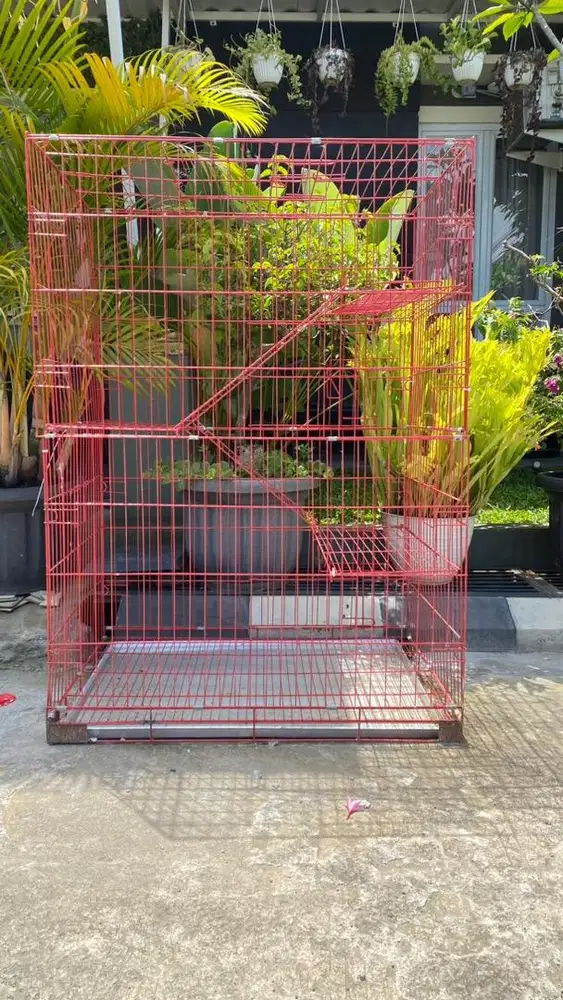 Kandang kucing jumbo
