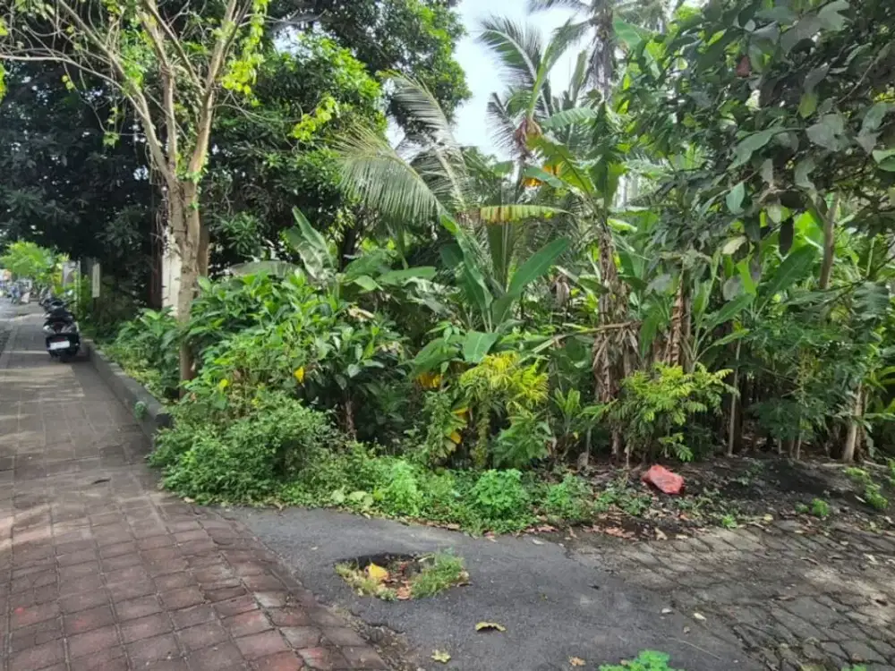 Dijual lahan 34.2 are. Pinggir jalan provinsi Karangasem