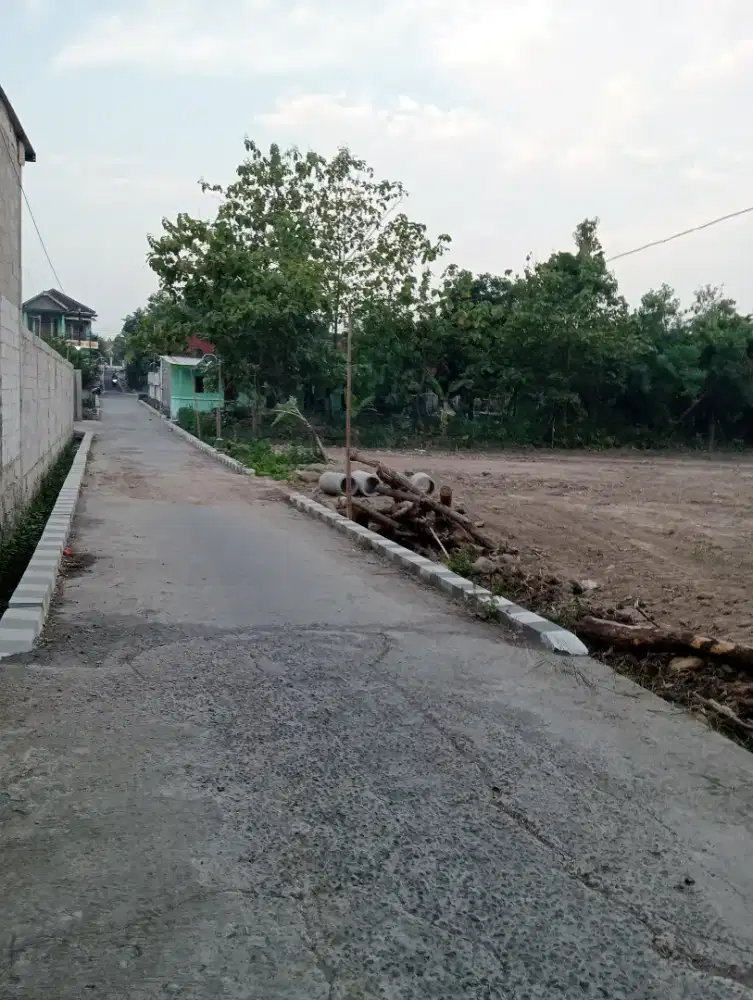 Pekarangan sebelah kos Masaran