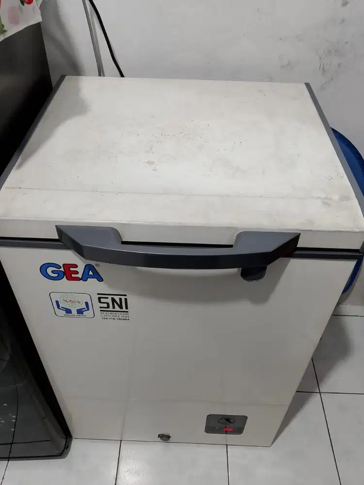 Frezer Gea 100 liter