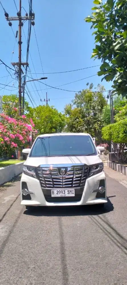 ALPARD S WELCAB 2017 ORISINIL FULL