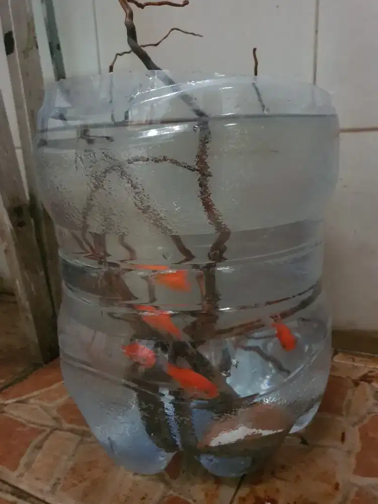 Aquarium ikan perlengkapan