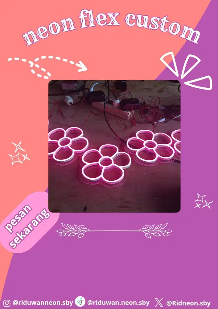 Neon Flex Custom