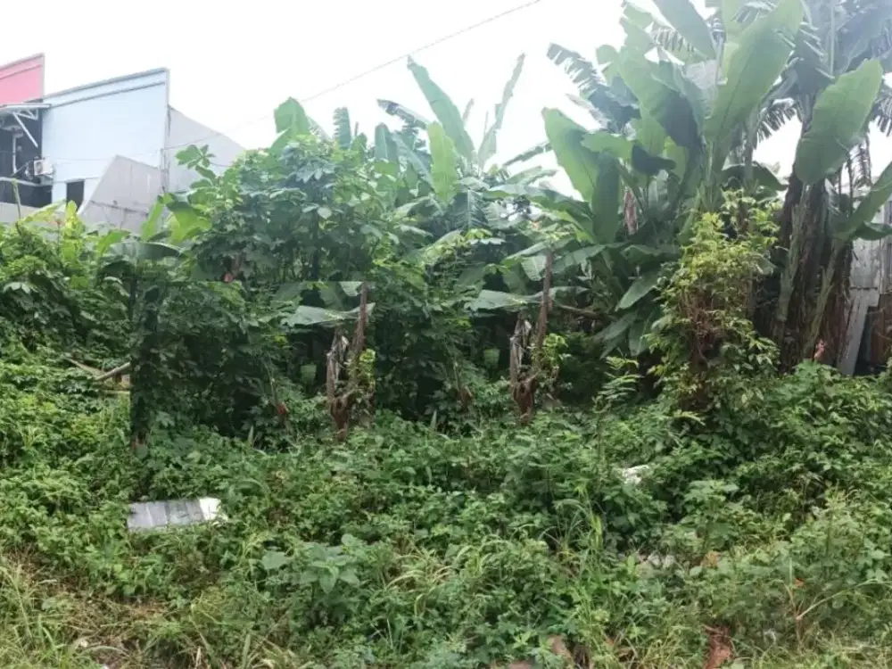 Kavling Selat Makasar Duren Sawit Cipinang Jual Murah Mau Liburan