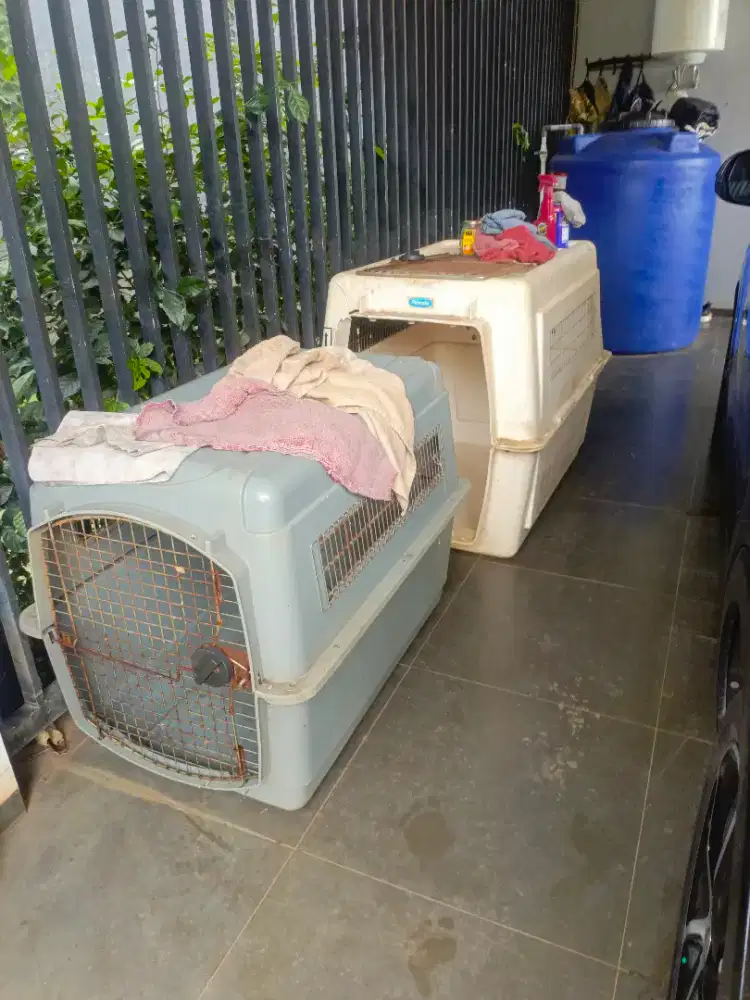 Petcargo jumbo large