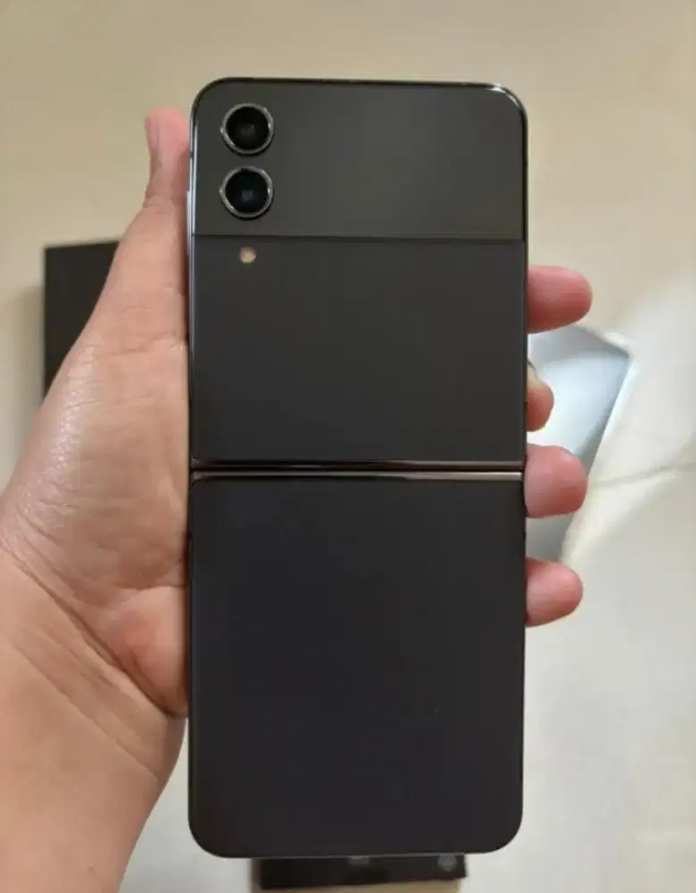 Samsung Z Flip 4 Sein