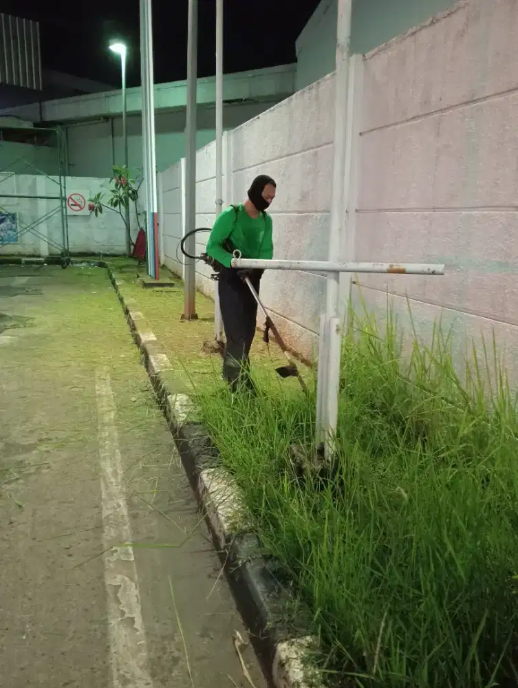 Jasa potong rumput kebon taman dll