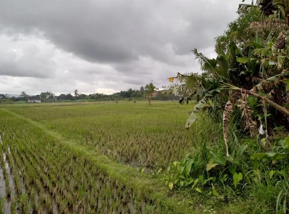 DIJUAL/DISEWAKAN TANAH DI BANTUL YOGYAKARTA