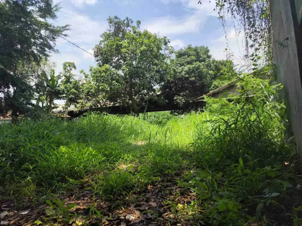 Di sewakan kavling tanah di citra raya Cikupa Tangerang