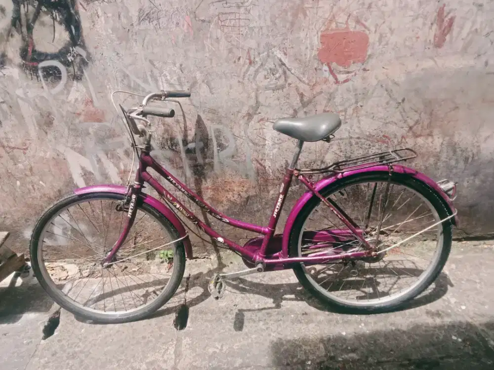 Sepeda Jieyang Nominus