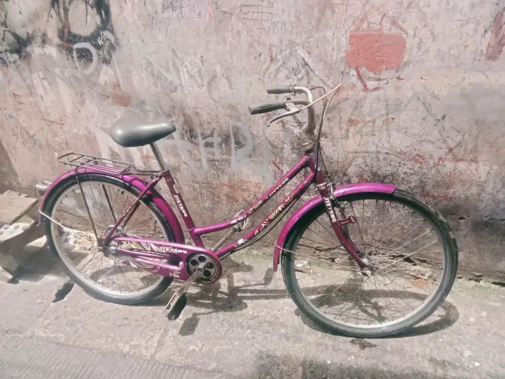 Sepeda Jieyang Nominus