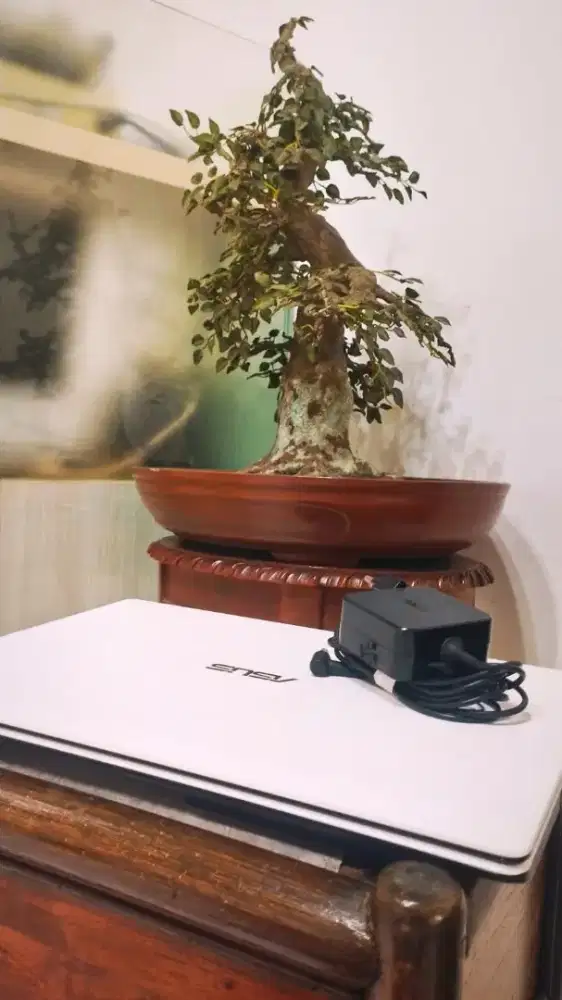 Laptop Asus X450EA AMD Radeon E1 Ram 8, 256 GB