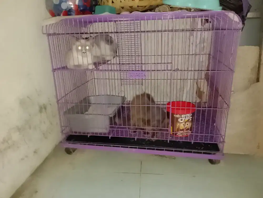 dijual kandang merk octagon ukuran besar