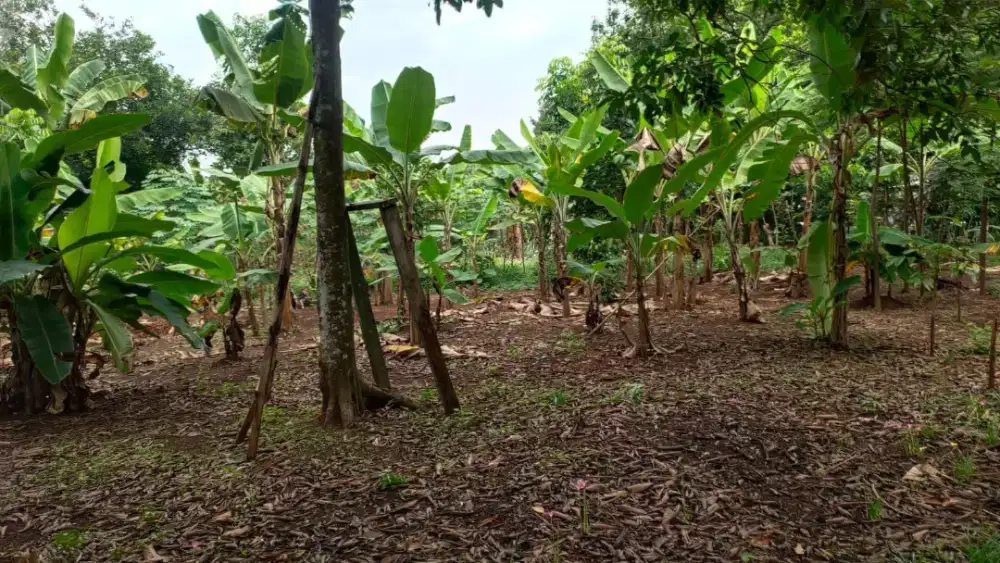 TANAH DIJUAL DAERAH PURWAKARTA