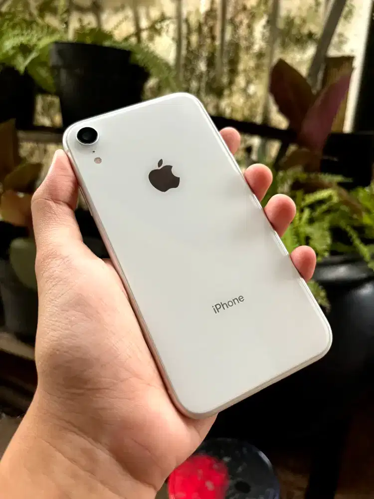 iPhone XR 64 GB putih