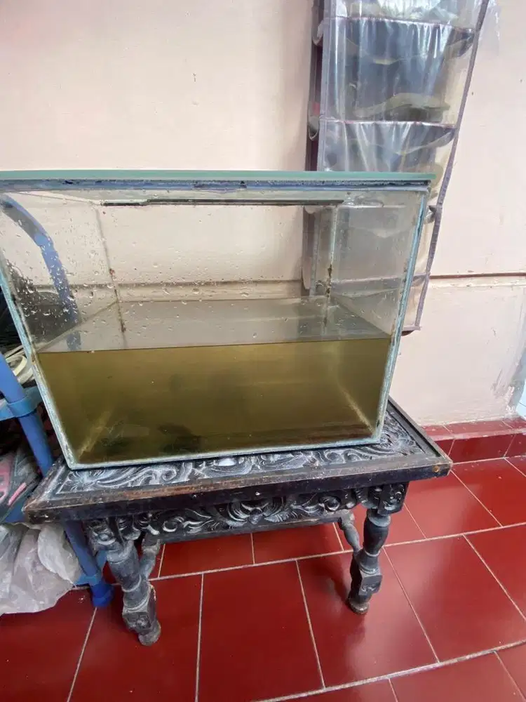 Aquarium size 40 cm minat wa