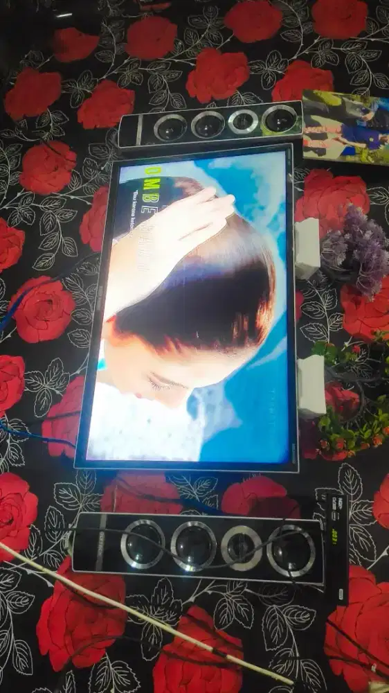 Polytron speker 32in