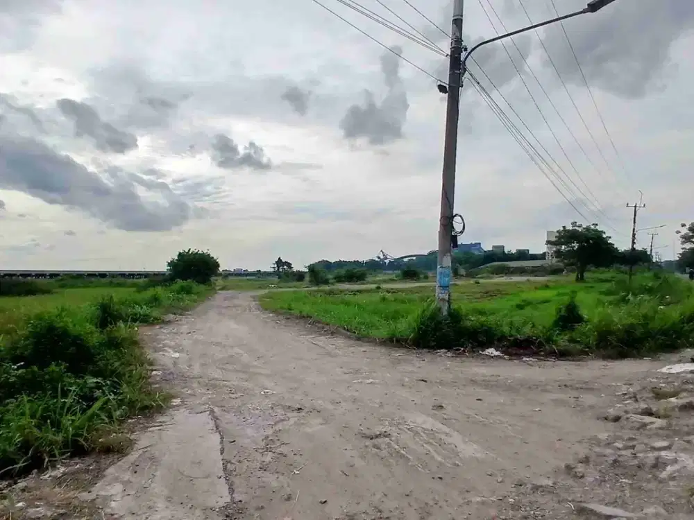 TANAH SHM 5 HEKTARE DI BABELAN BEKASI 1 JUTAAN