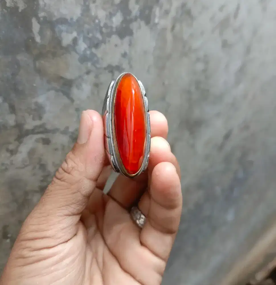 Pandan nasmer merah jamblang rudal