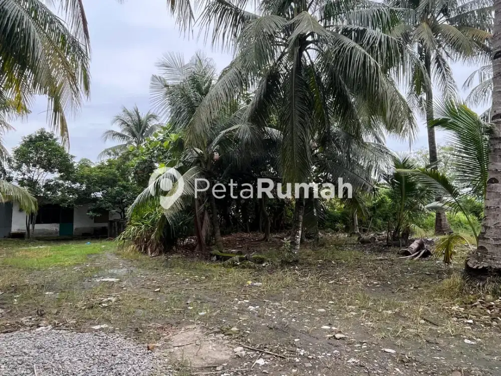 DIJUAL TANAH JALAN METEOROLOGI VI - DAERAH PANCING (ELVIA)