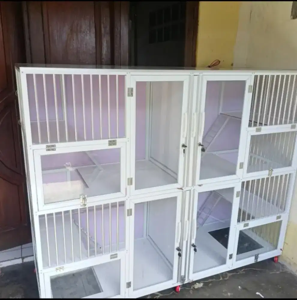 KANDANG 4 RUANG JUMBO