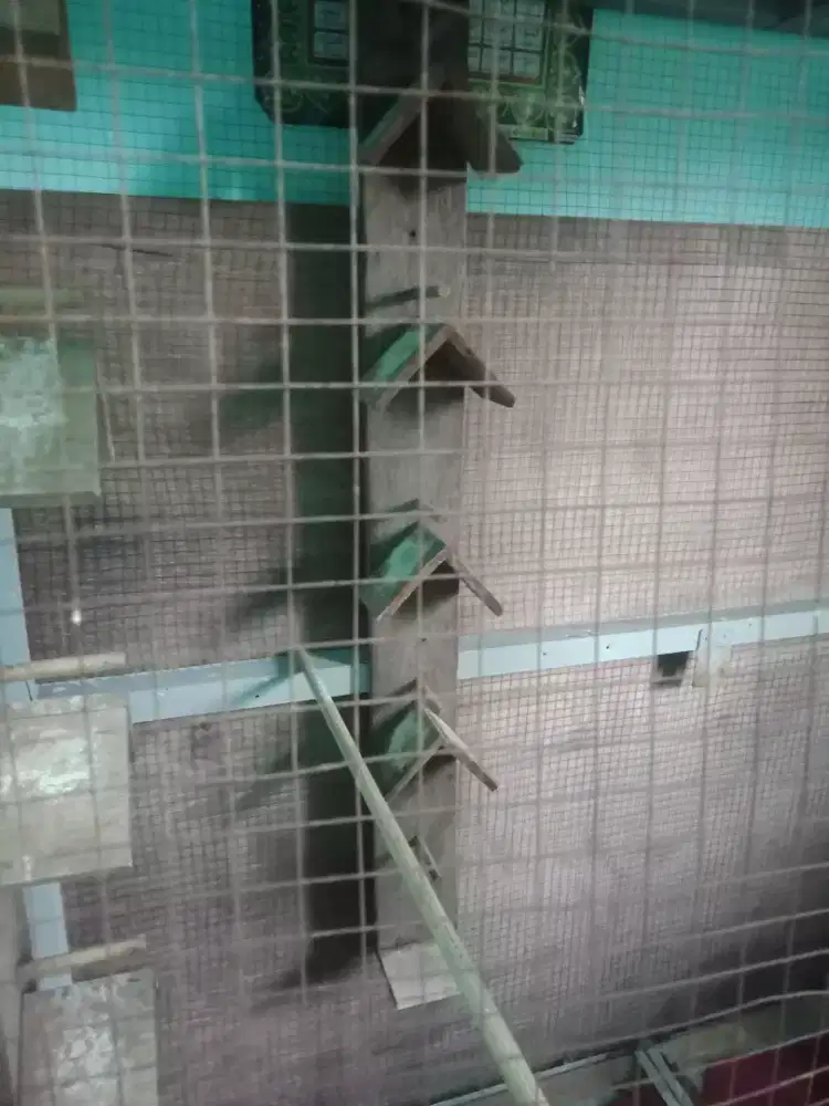 Jual sangkar ukuran besar cocok buat ternak maupun  tenggaran