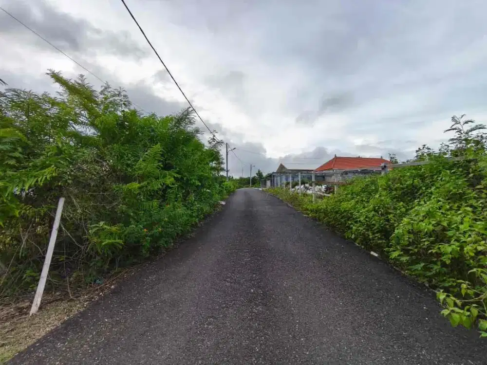 Tanah Strategis Cocok untuk Villa Jl Gayang Sari Kutuh