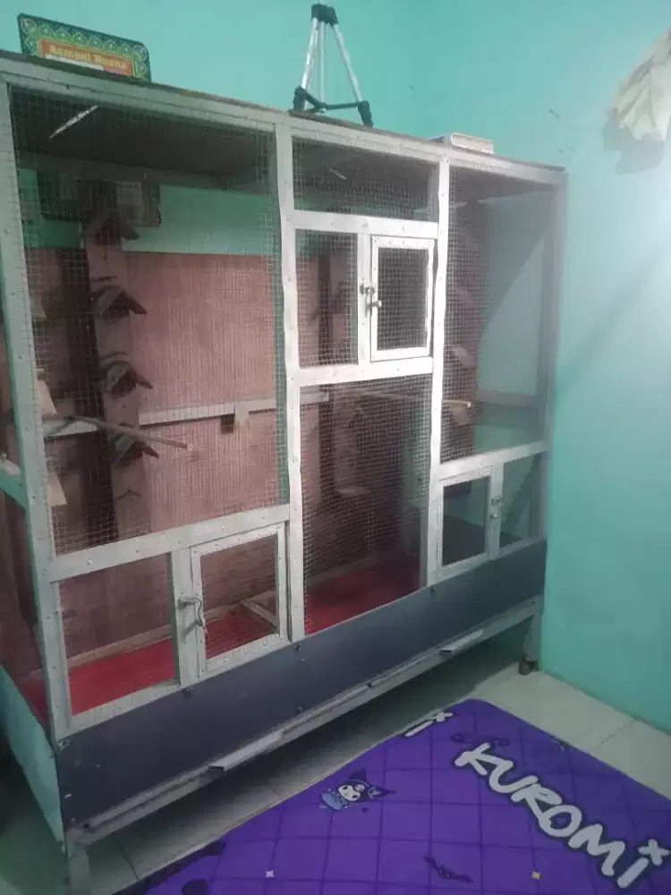 Jual sangkar ukuran besar cocok buat ternak