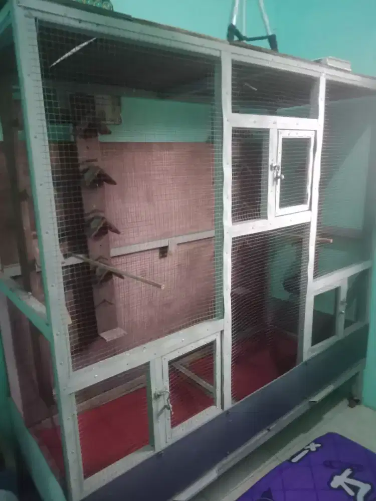 Jual sangkar ukuran besar cocok buat ternak