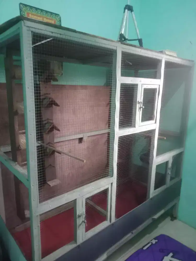 Jual sangkar ukuran besar cocok buat ternak