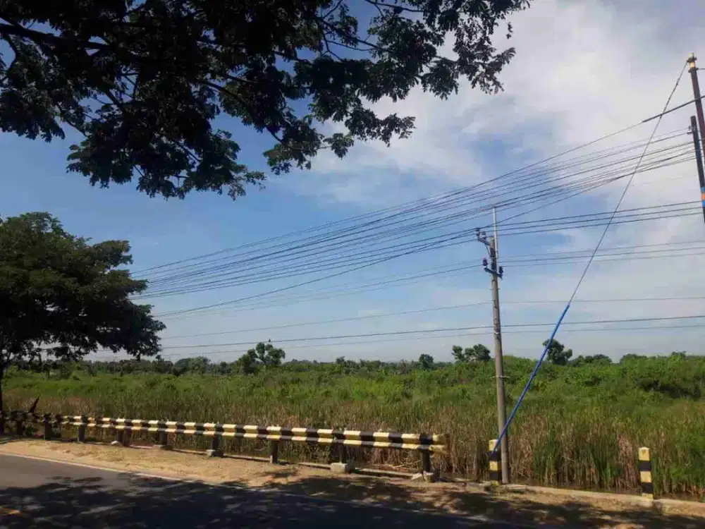 Tanah 9 Ha Nol Jalan Pantura