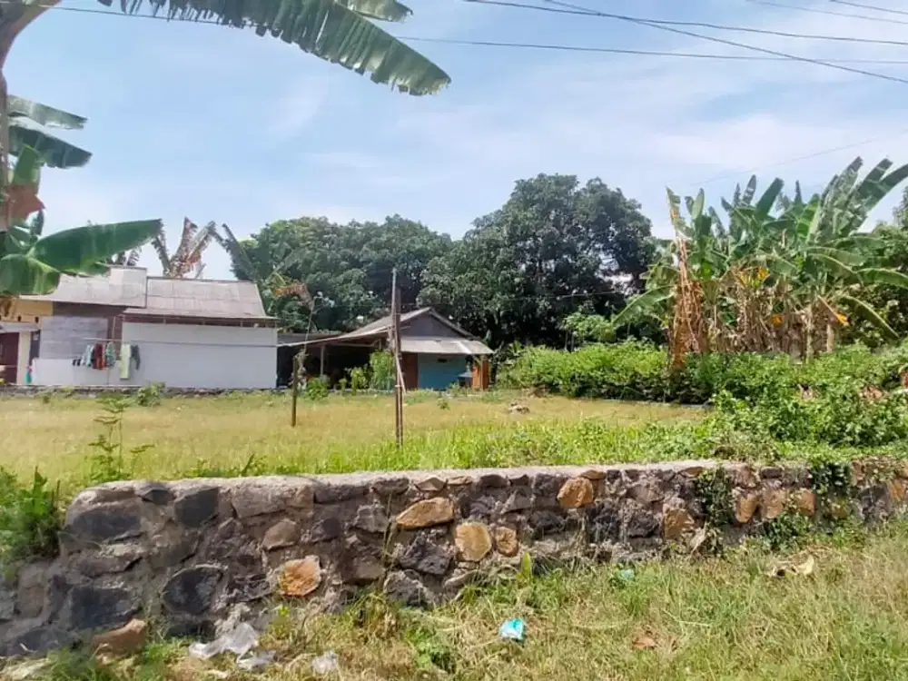 Tanah Kavling siap bangun – Sukowidi, Banyuwangi