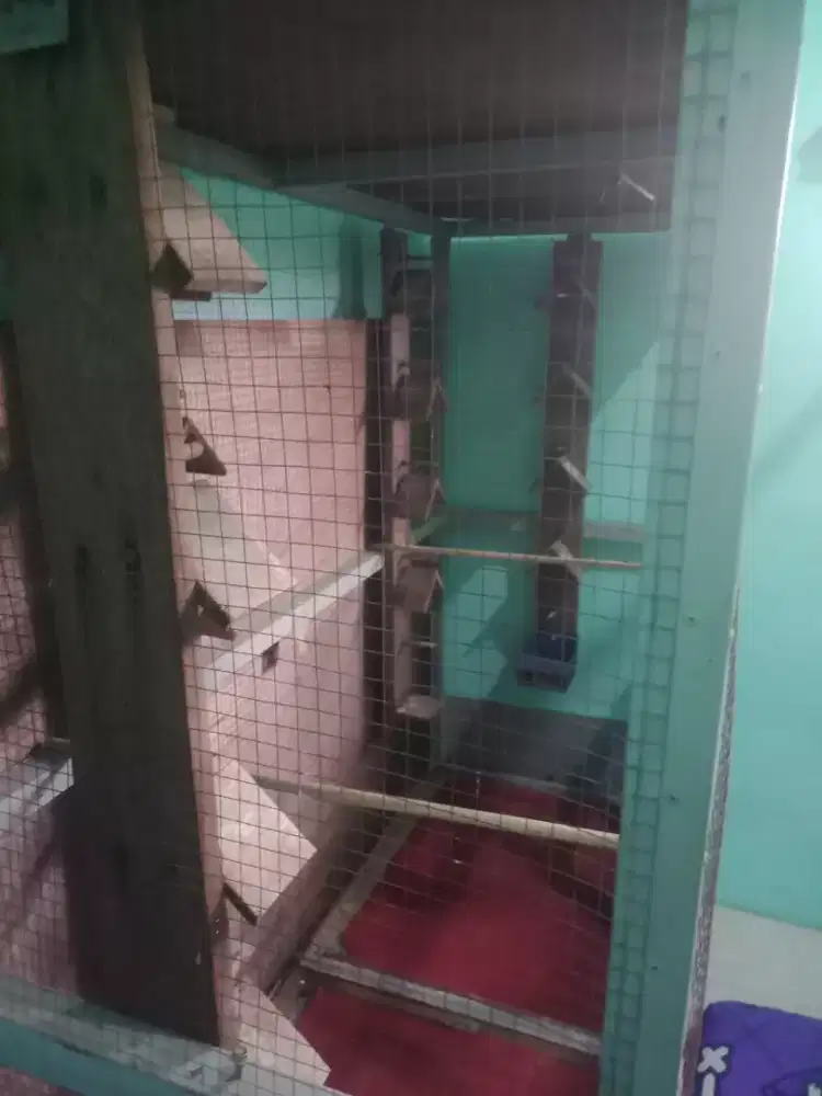 Jual sangkar ukuran besar cocok buat ternak