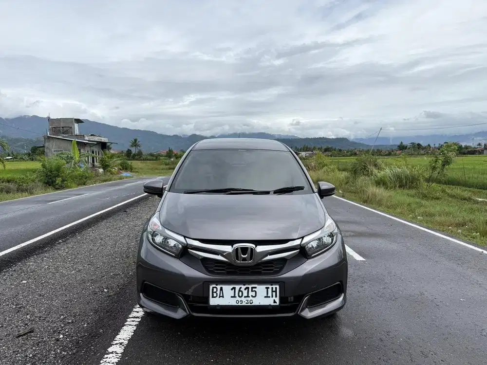 MOBILIO S MANUAL 2020