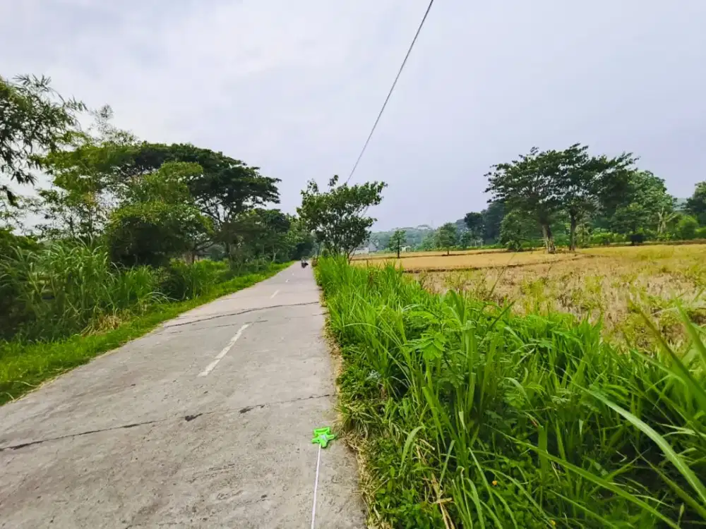 Tanah murah dekat waterboom kaliboto mojogedang