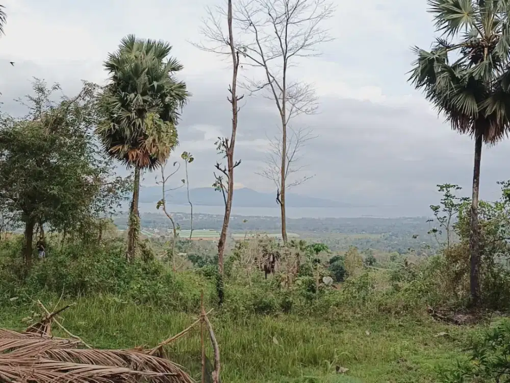 Tanah View Laut – Desa Pancoran, Kalipuro, Banyuwangi